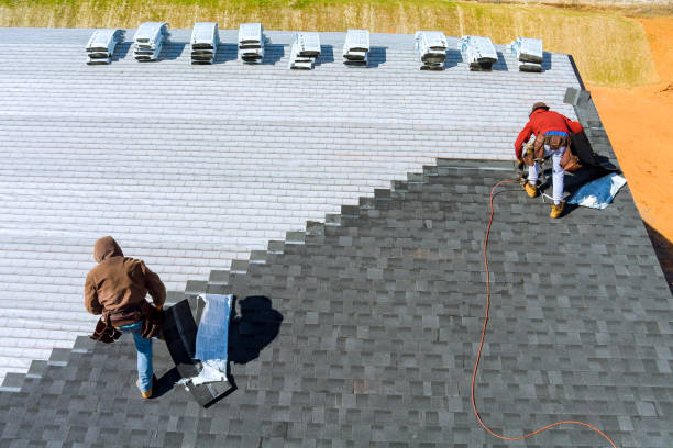 Best Residential Roofing Contractor  in West Monroe, MI