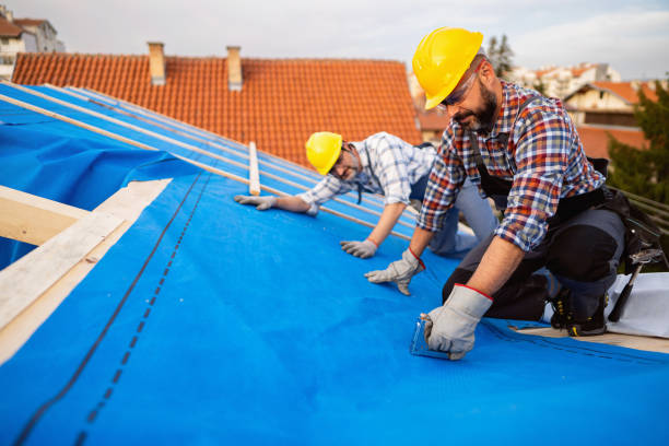 Best Roof Gutter Cleaning  in West Monroe, MI