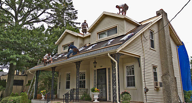 Best Affordable Roof Replacement  in West Monroe, MI