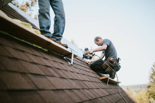 Quick and Trustworthy Emergency Roof Repair Services in West Monroe, MI